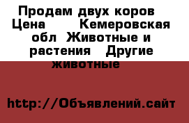 Продам двух коров › Цена ­ 1 - Кемеровская обл. Животные и растения » Другие животные   